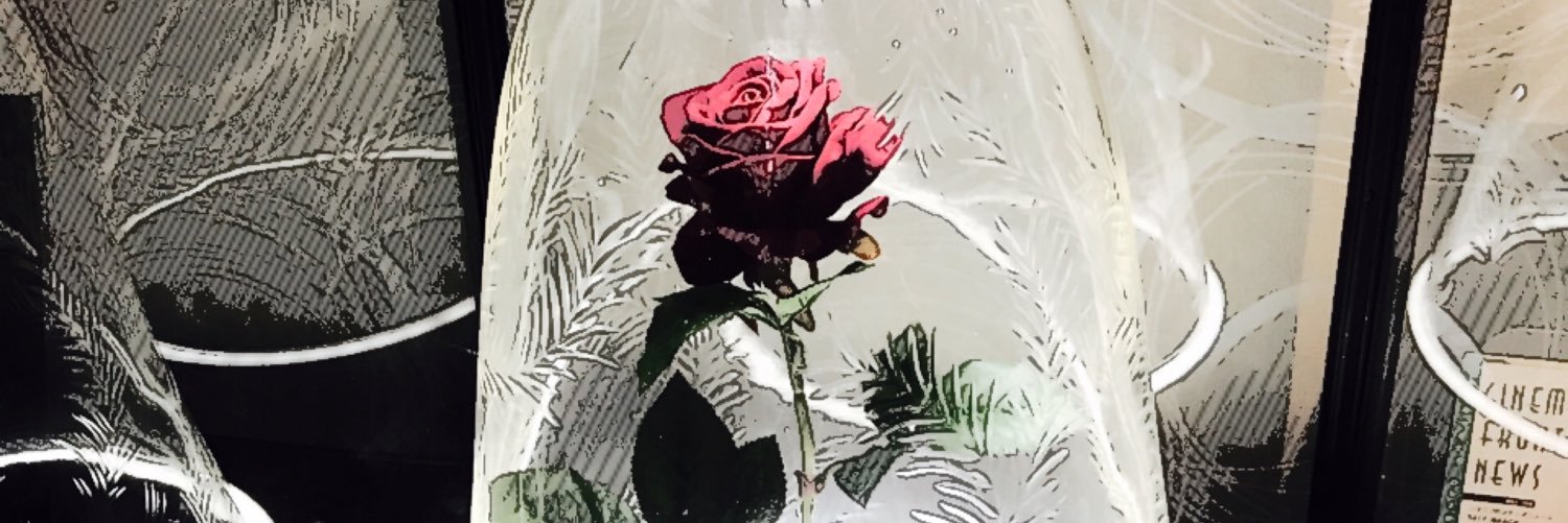 terapopn's profile banner image