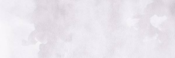 🍥 banner