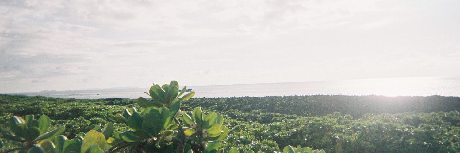 baskey114's profile banner image