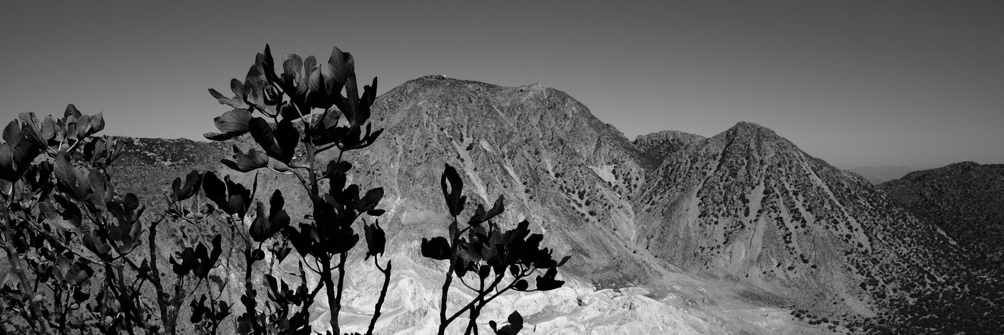 Christos Valtadoros banner