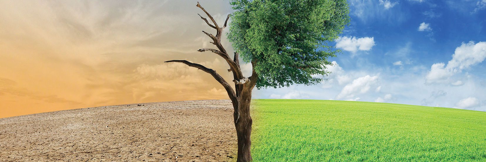 Çölleşme ve Erozyonla Mücadele Genel Müdürlüğü banner