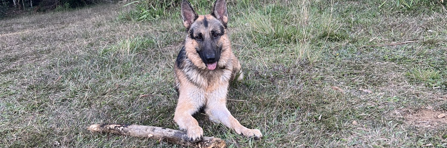 Tommy Pruchinski banner