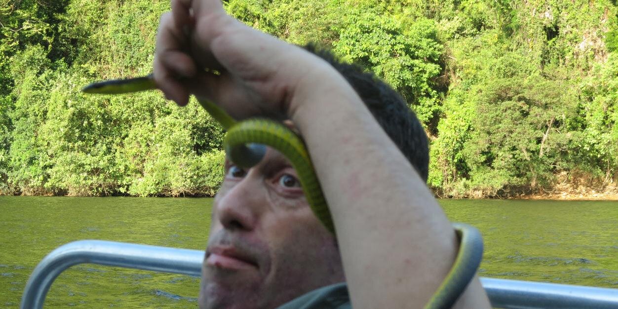 PhilGatley's profile banner image