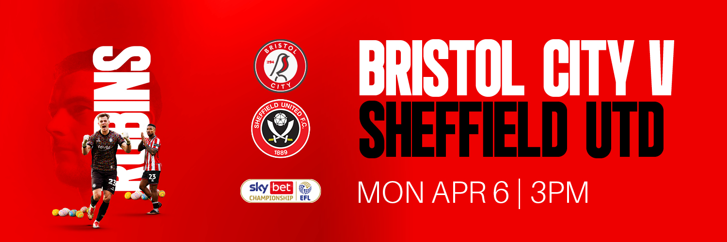 Bristol City FC banner