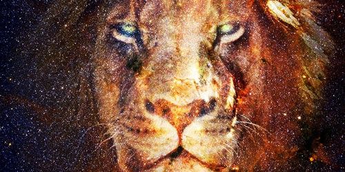 Qualitest_Quazy's profile banner image