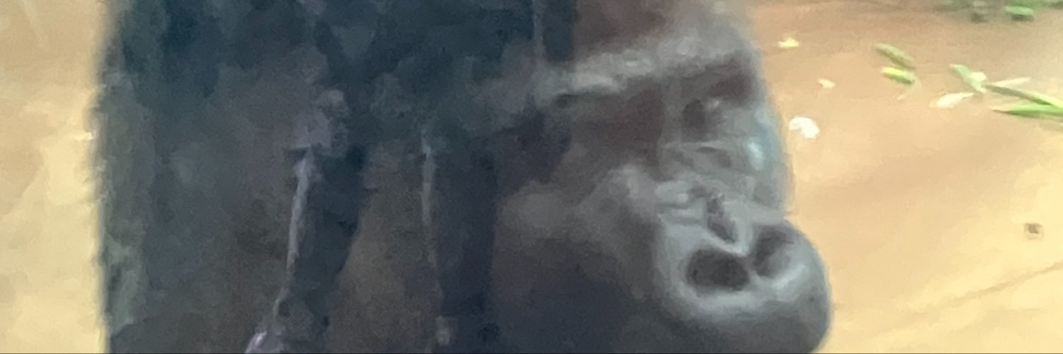 yuha0312's profile banner image
