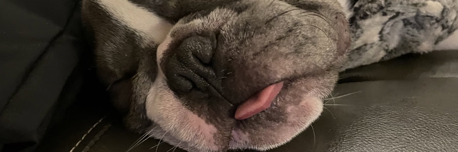 walkswithdogs's profile banner image