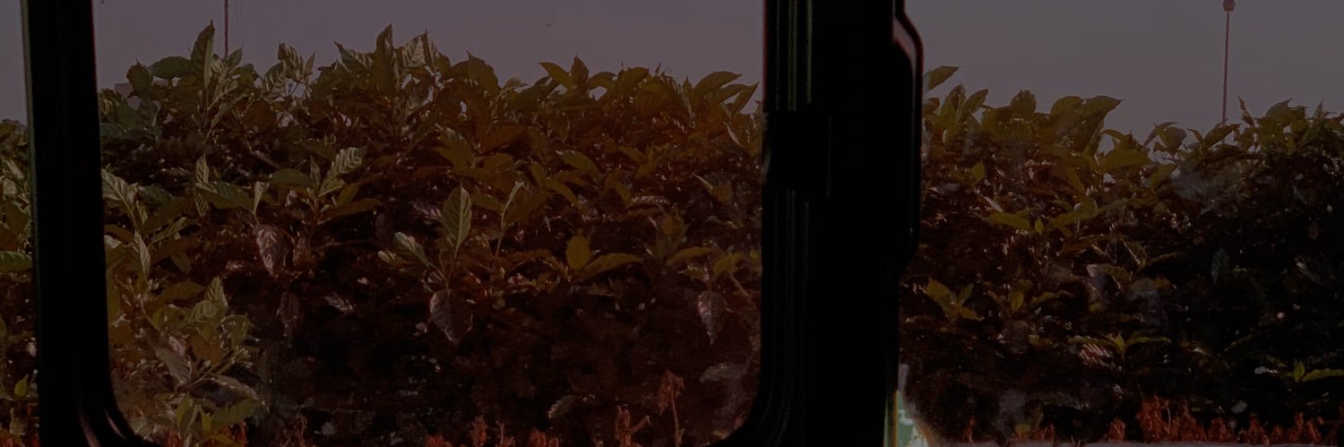 swer_lil's profile banner image