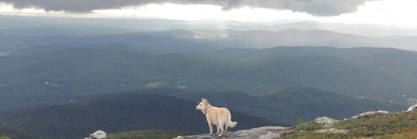 serenammurphy Profile Banner