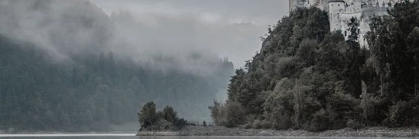 Time traveler, rose banner