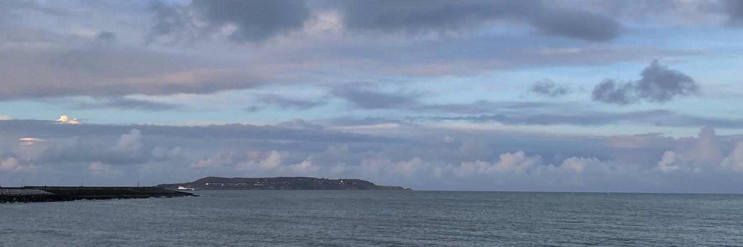 jfeen 🖤🇵🇸 banner