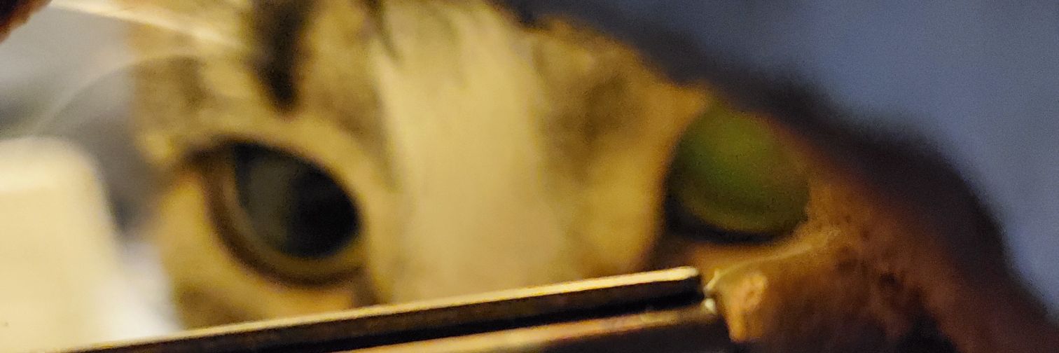 IsadySady's profile banner image