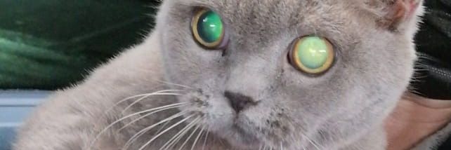 harb1den's profile banner image