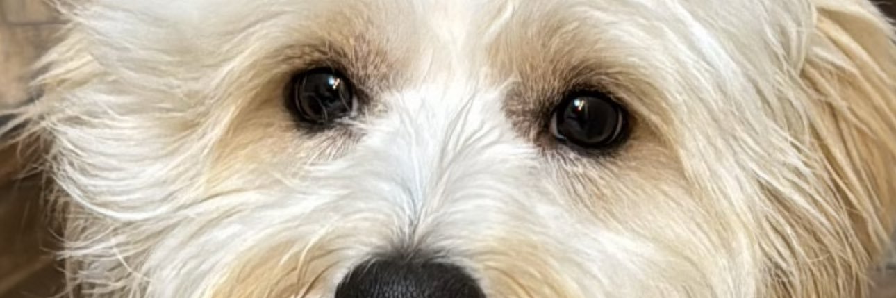 AmandaMrida3's profile banner image