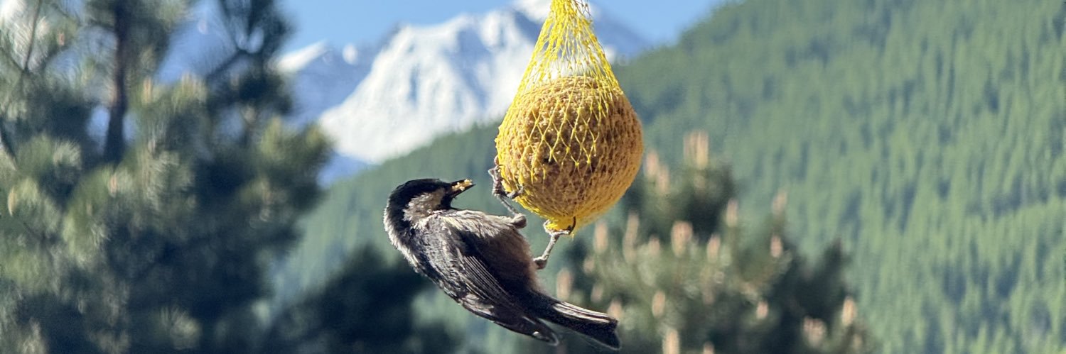 appelons-moi Ism∀hel banner