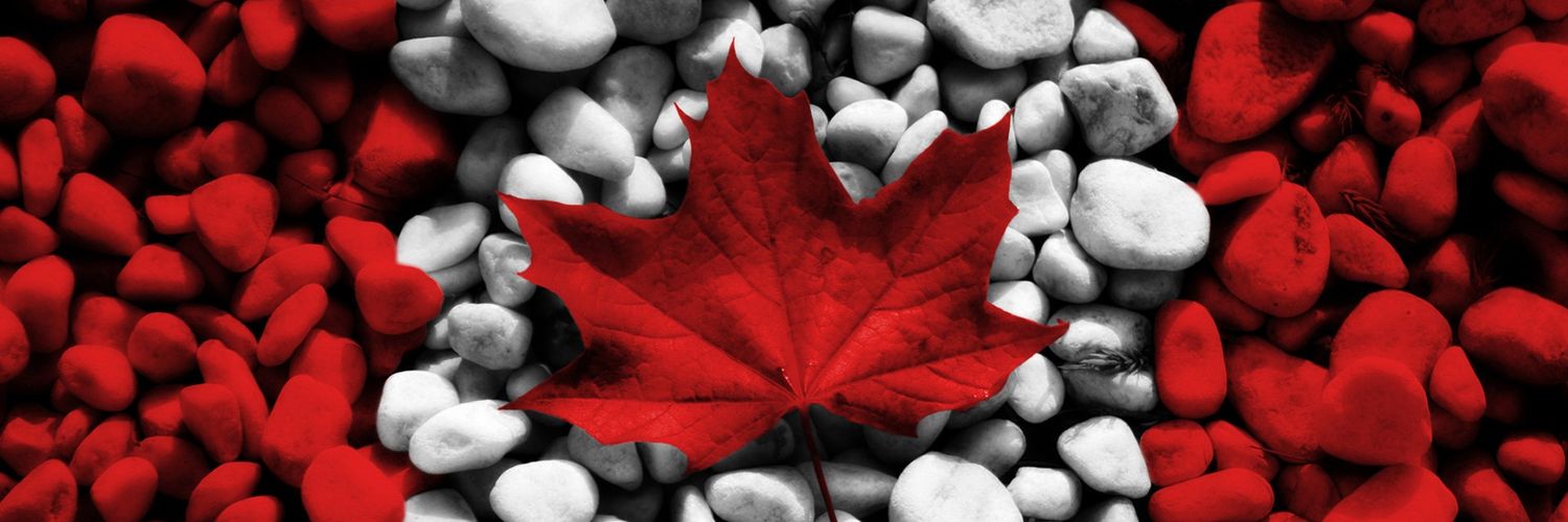 Catherine Wang banner