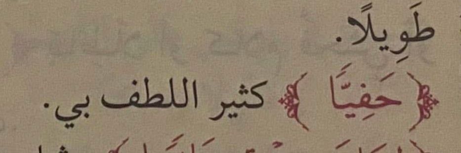 Areej banner
