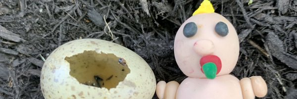 ClareStacey5 Profile Banner