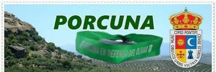 LuiscaTorresS's profile banner image