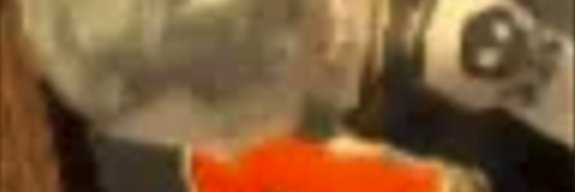 Sapphicca's profile banner image