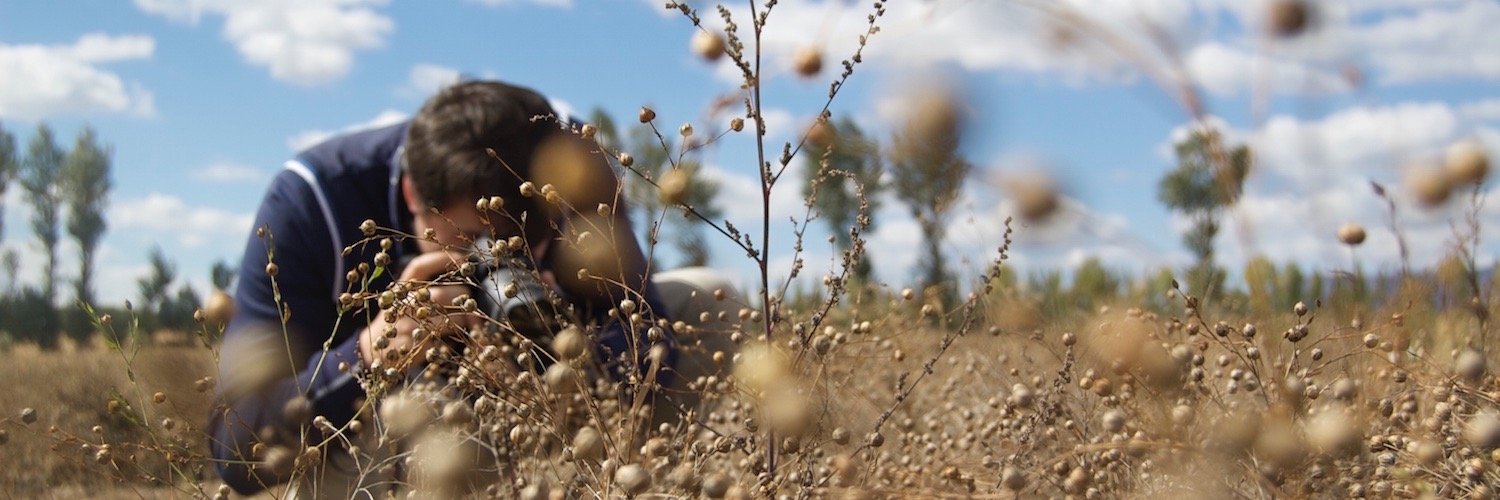 Massimo Ferrari banner
