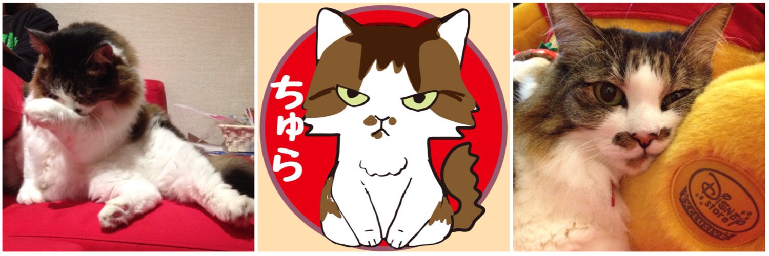 jerryfishsnow's profile banner image