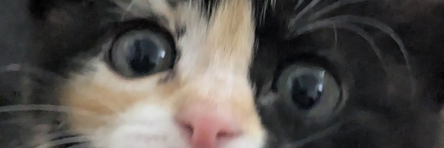 xaredt's profile banner image