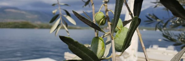 DjuranovicLab Profile Banner