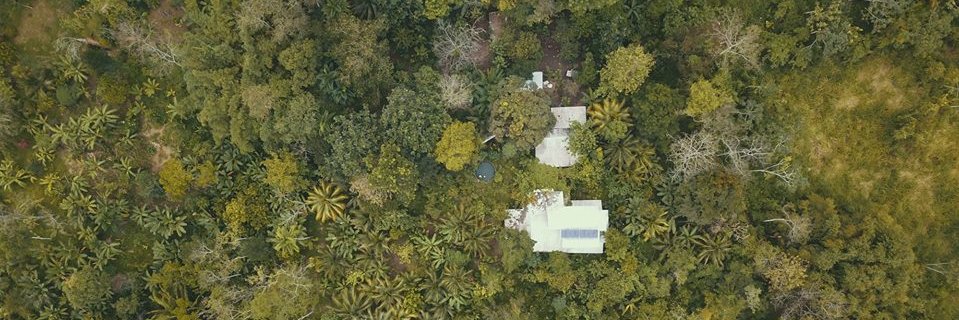 MMRFbelize's profile banner image