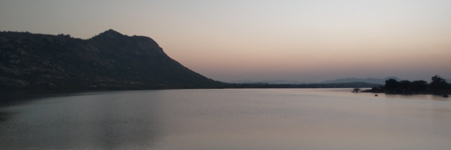 LAXMI NARAYANA MESA banner