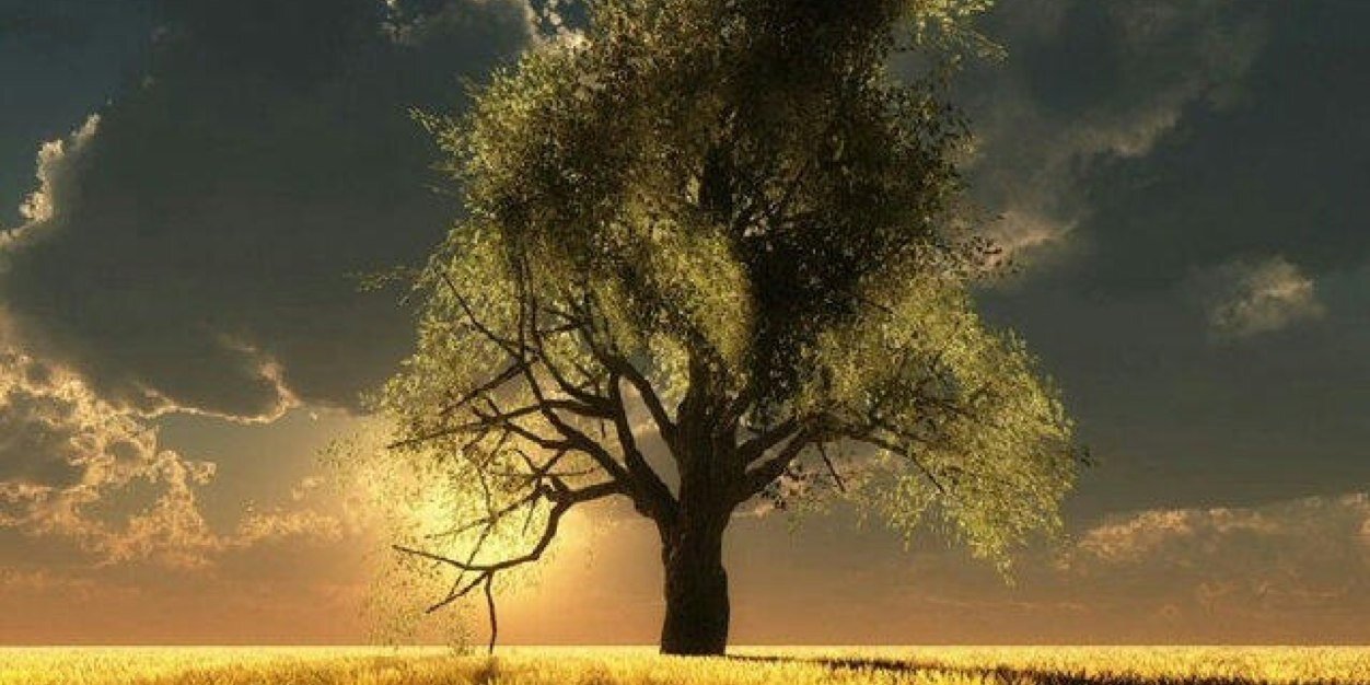 أبومشعل banner
