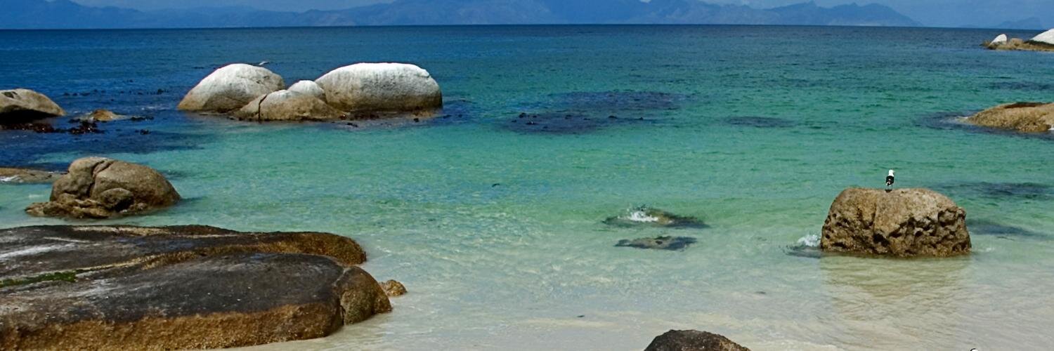 Jeff Phillips banner