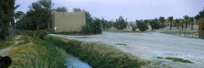 أبو سليمان banner