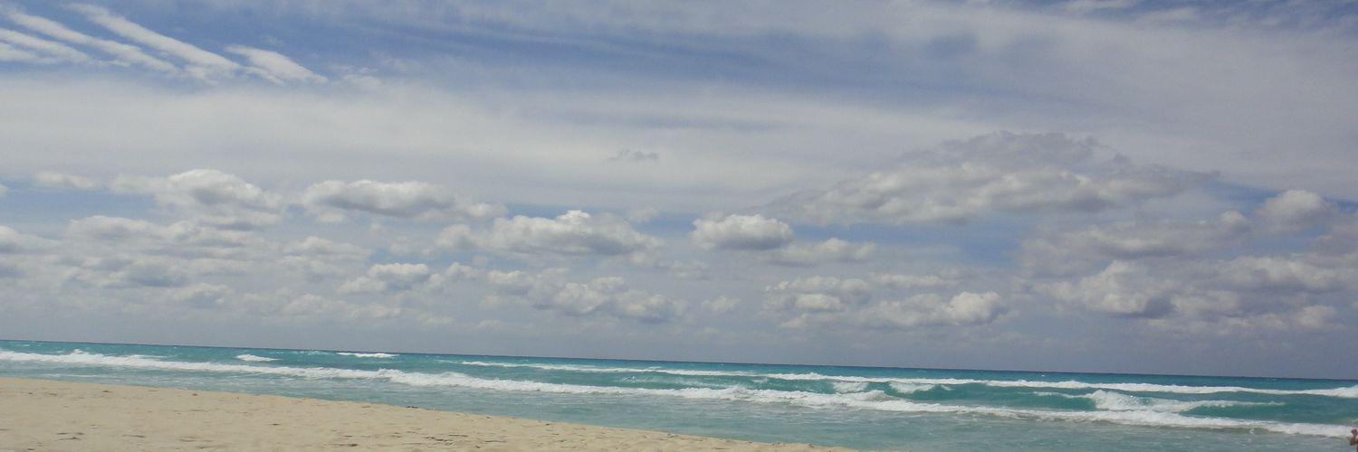 adrianacesa2's profile banner image
