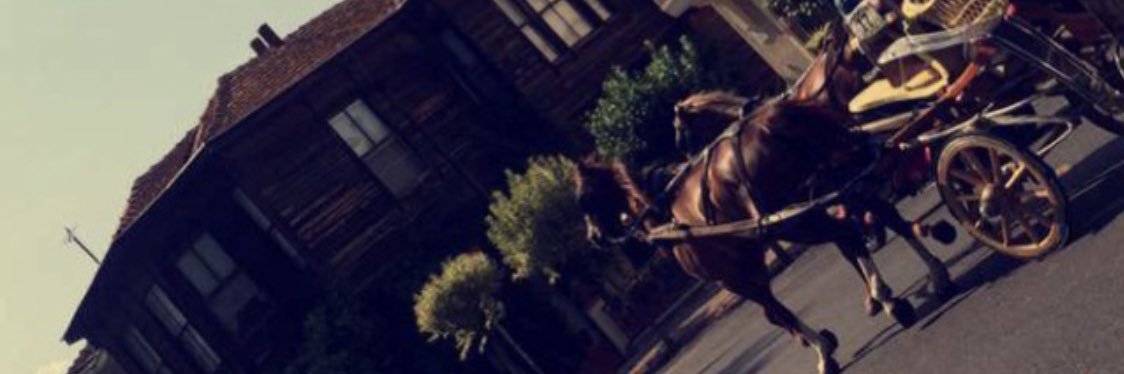 roma_m14's profile banner image