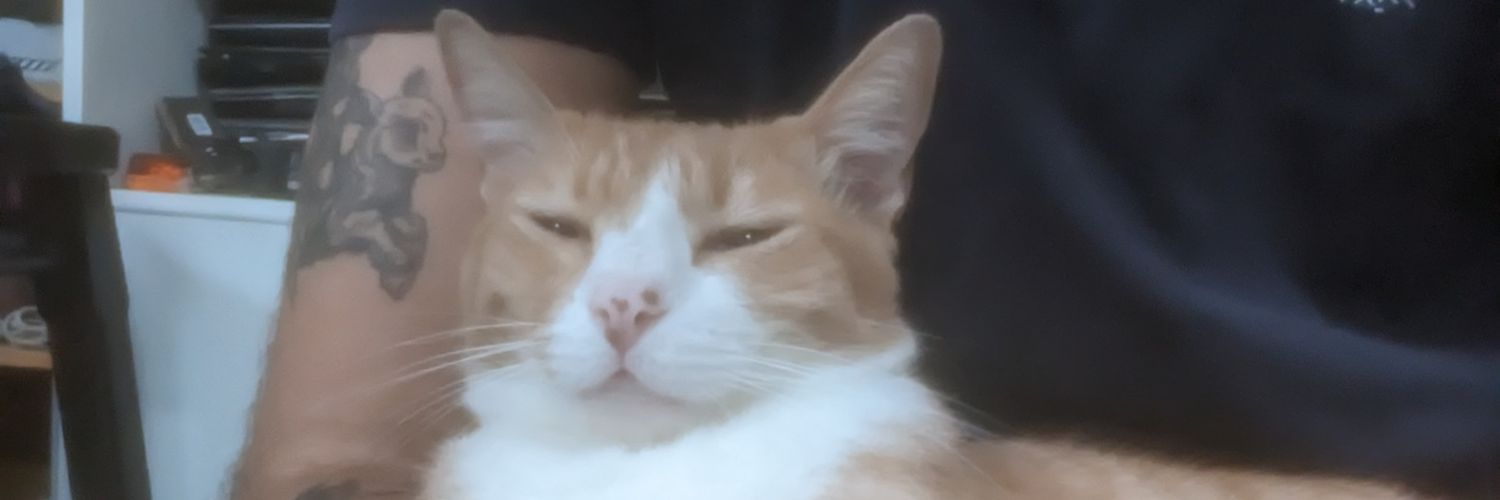 LelliMatii's profile banner image
