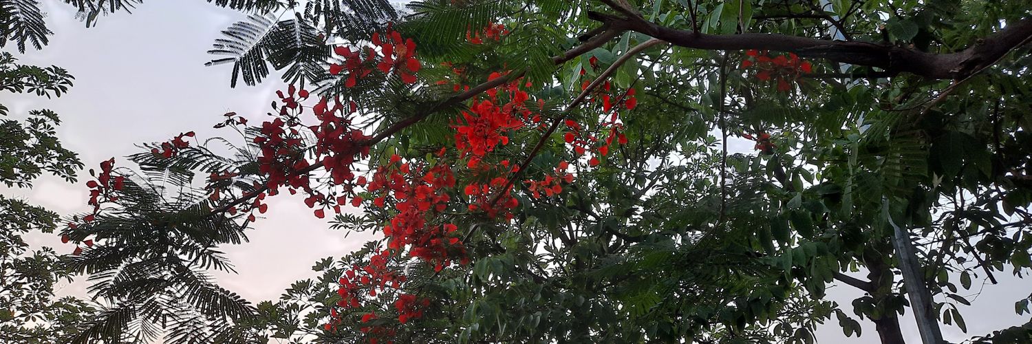 asthaa_a's profile banner image