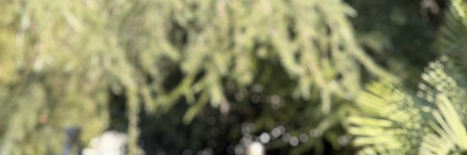 _sheeeeila's profile banner image