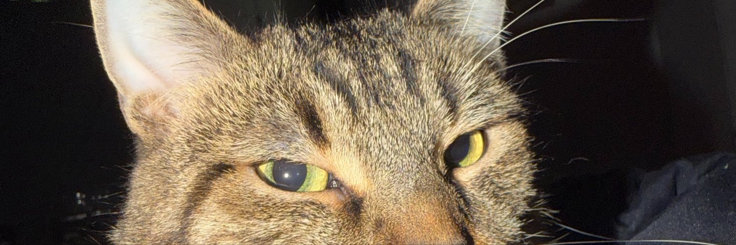 Ultratie1's profile banner image