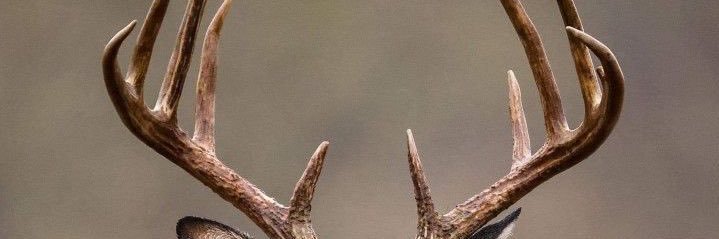 TrewithaD's profile banner image