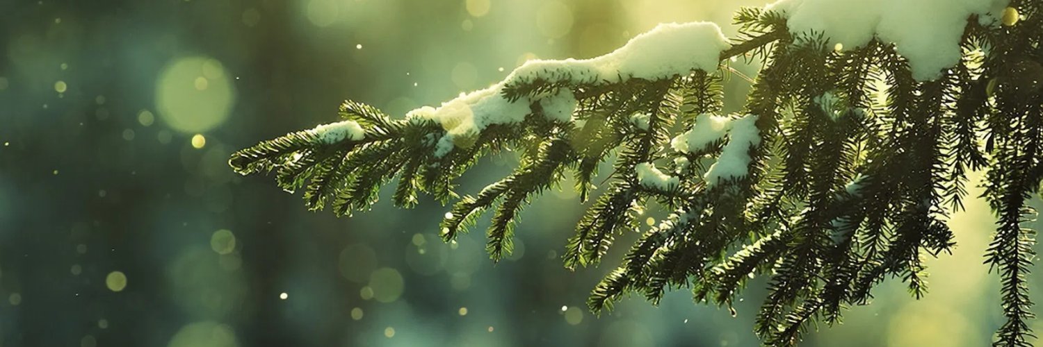 Aphrodite_Remix's profile banner image