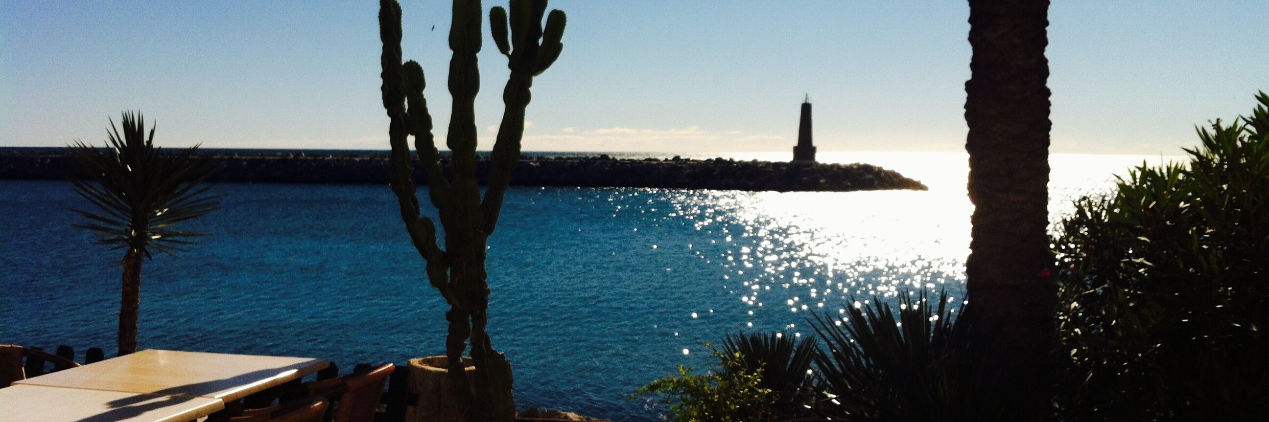 violeta_727's profile banner image