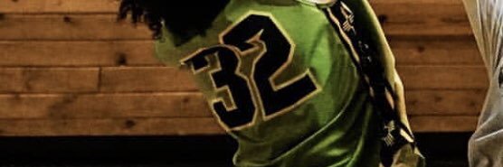 Tainui Taiaroa banner