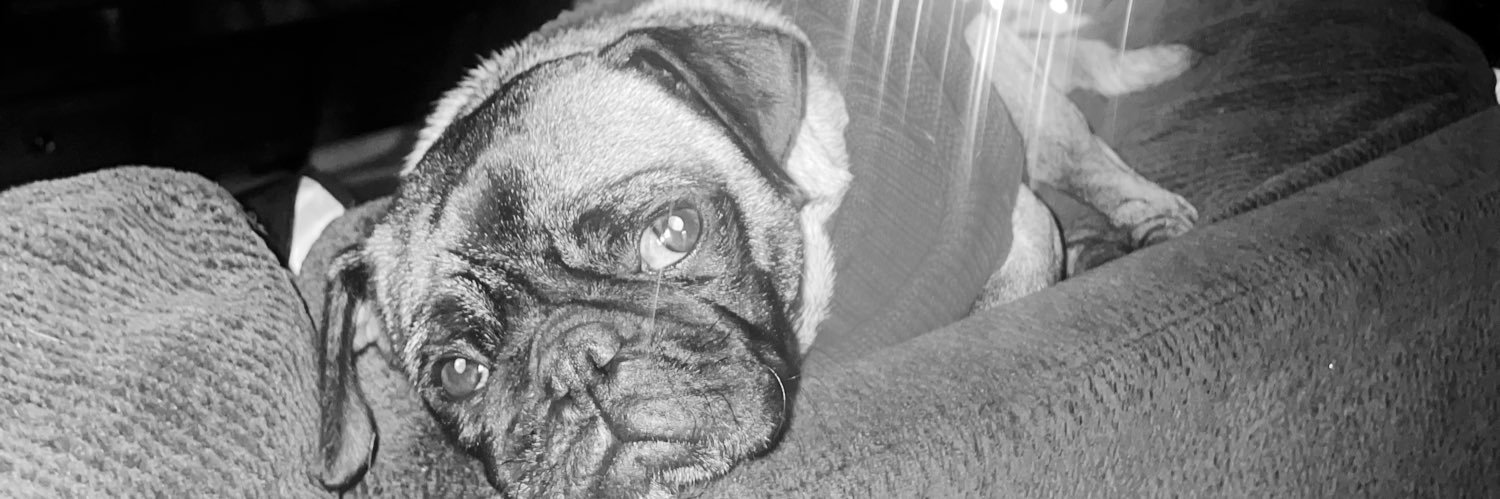 itsmesummeerr's profile banner image