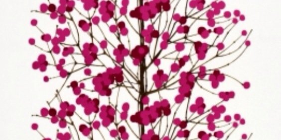 tomoomot's profile banner image