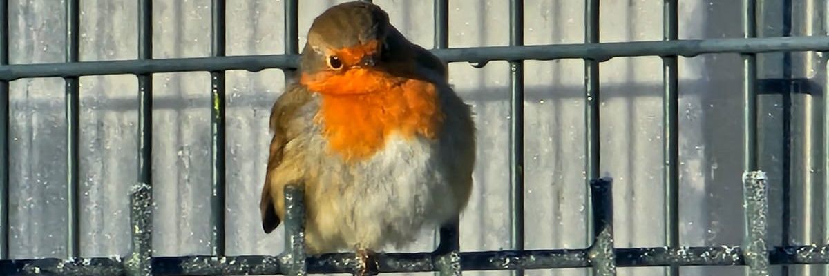 DoubleGen's profile banner image