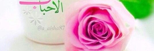 Masshhe's profile banner image