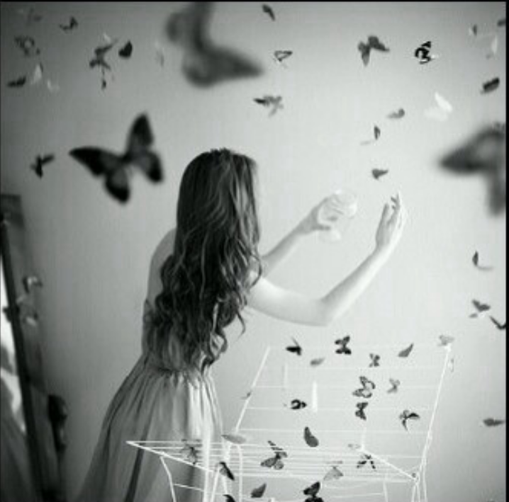 shoshoalsayed28's profile banner image