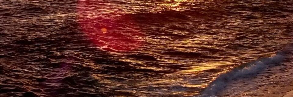 gaserrot's profile banner image