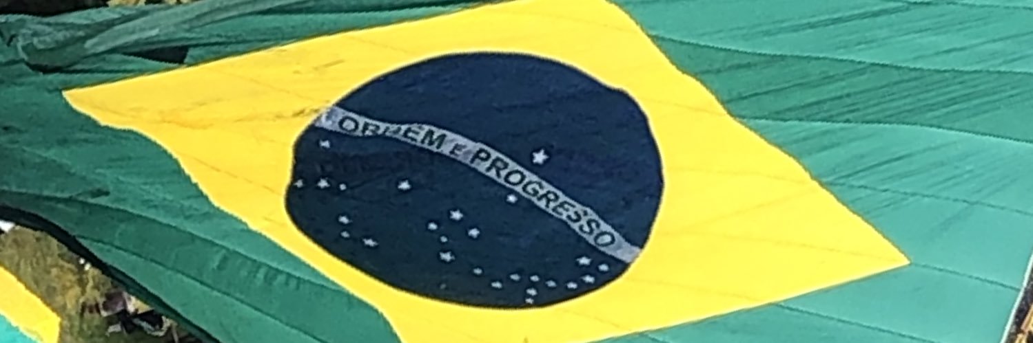 A2173 Politicos, maioria nao presta banner